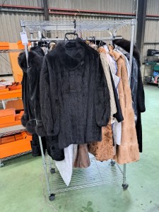 LINE_ALBUM_2024626 SGオークション入荷情報_240625_29