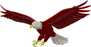 eagle