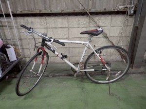 LINE_ALBUM_20250423 SGオークション入荷情報_250422_40
