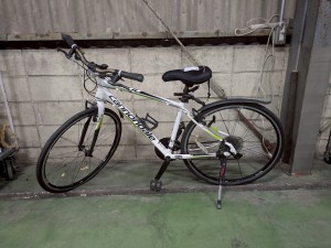 LINE_ALBUM_20250423 SGオークション入荷情報_250422_41