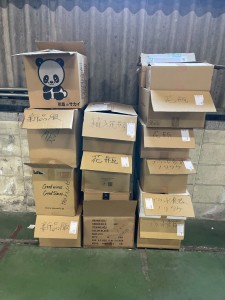 LINE_ALBUM_20250514 SGオークション入荷情報_250513_14